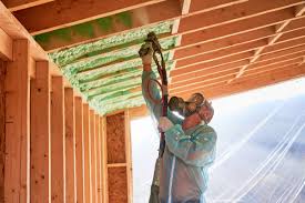 Best Attic Insulation Installation  in Randleman, NC