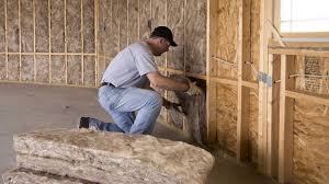 Best Eco-Friendly or Green Insulation Solutions  in Randleman, NC